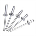 300pcs Assorted Blind (POP) Rivets in Three-1/8