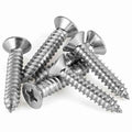 CSK Philip S.S Sheet Metal Screw 6 X 19mm-200pcs