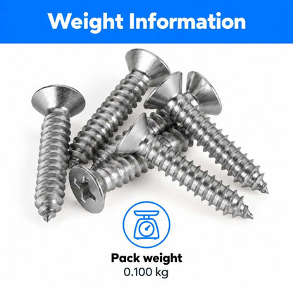 CSK Philip S.S Sheet Metal Screw 6 X 19mm-200pcs
