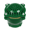 Cast Iron Foot Valve (2 1/2 Inch)