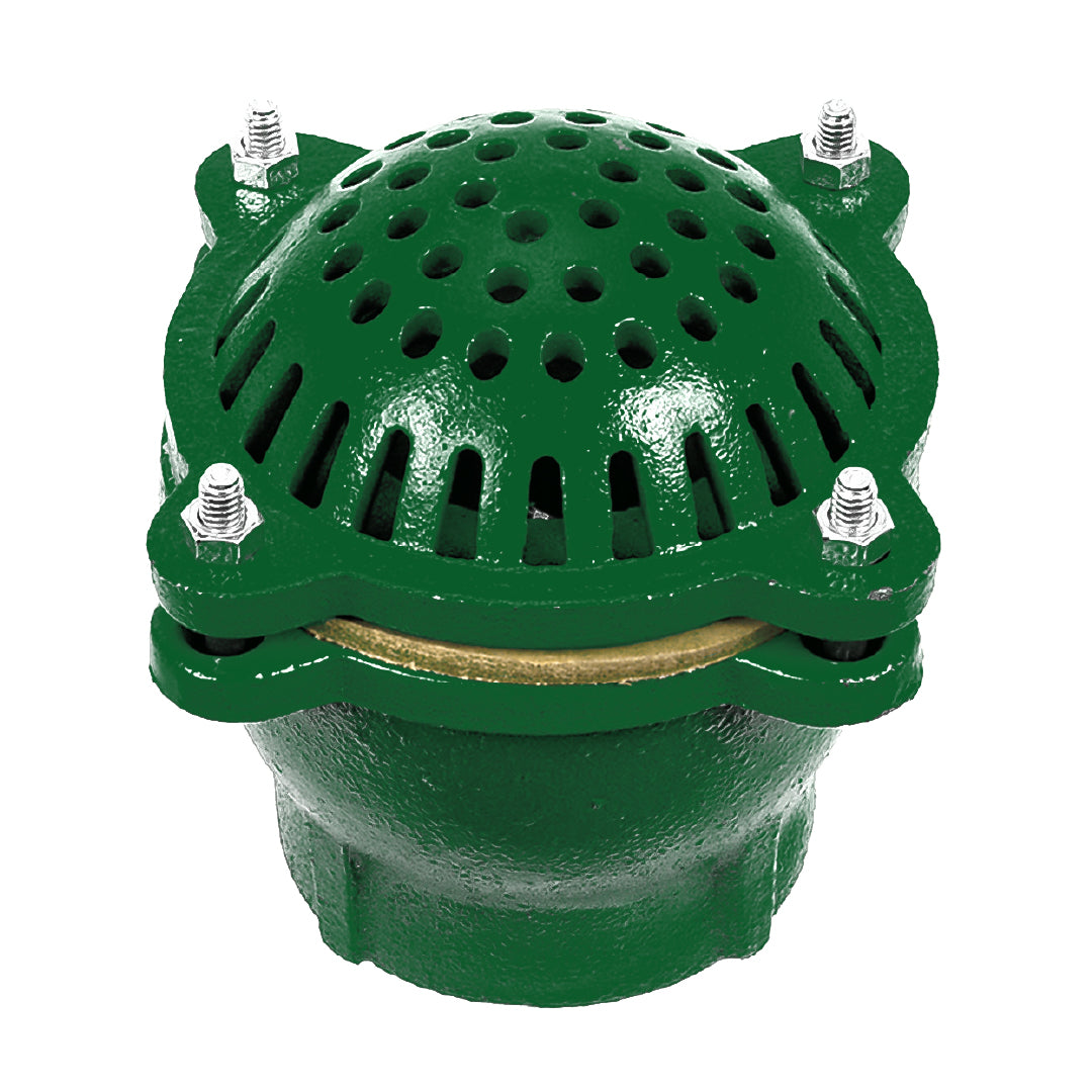 Cast Iron Foot Valve (2 1/2 Inch)