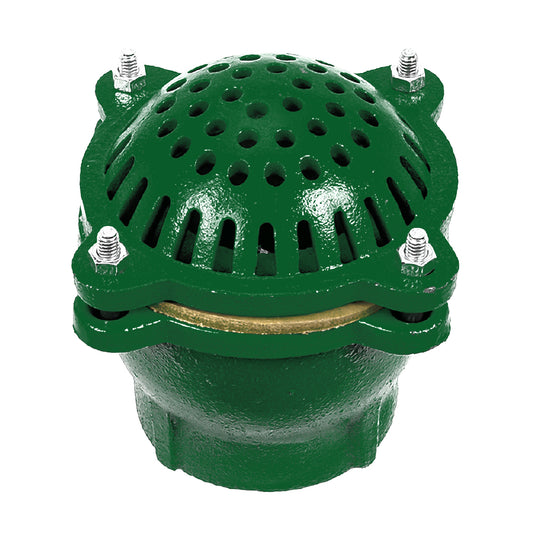 Cast Iron Foot Valve (2 1/2 Inch)