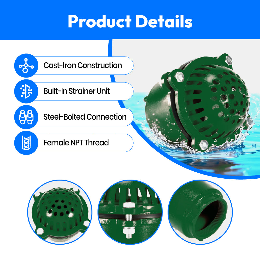 Cast Iron Foot Valve (2 1/2 Inch)