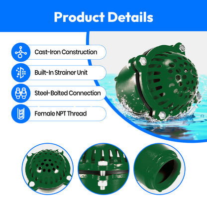 Cast Iron Foot Valve (2 1/2 Inch)