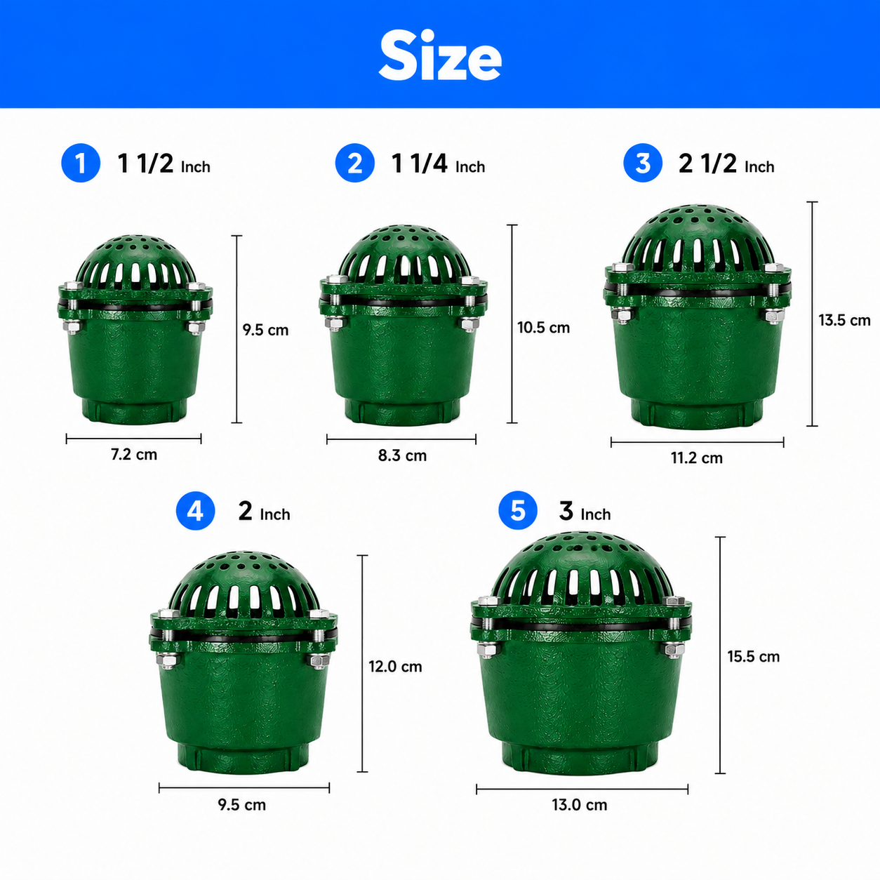 Cast Iron Foot Valve (2 1/2 Inch)