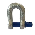 D Shackle Towing Accessory
