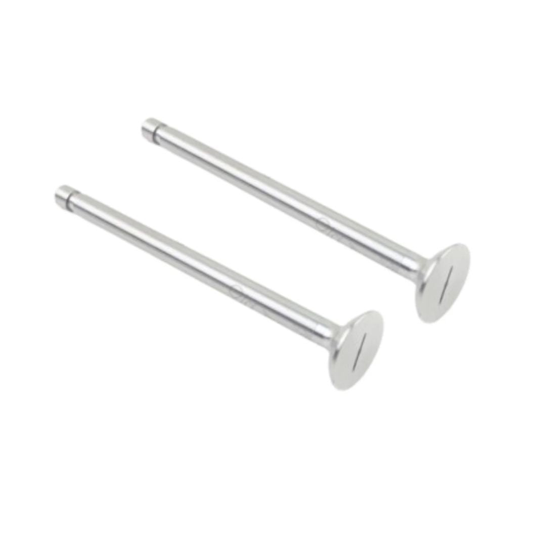 Diesel Engine valve set kiloskar type