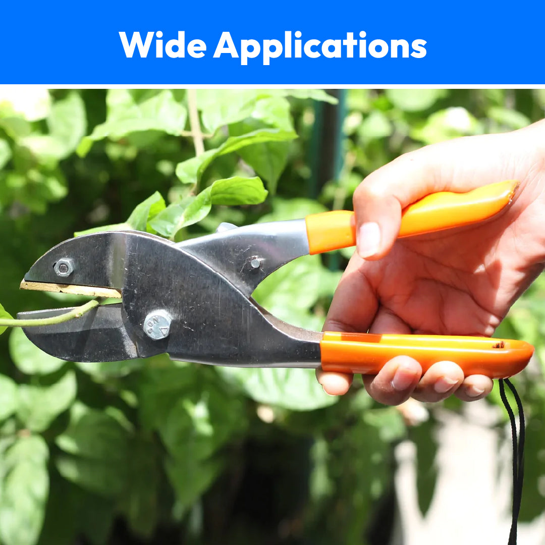 Gardening Scissor Flower Stem and Leaf Cutter (Plants Kenchi)