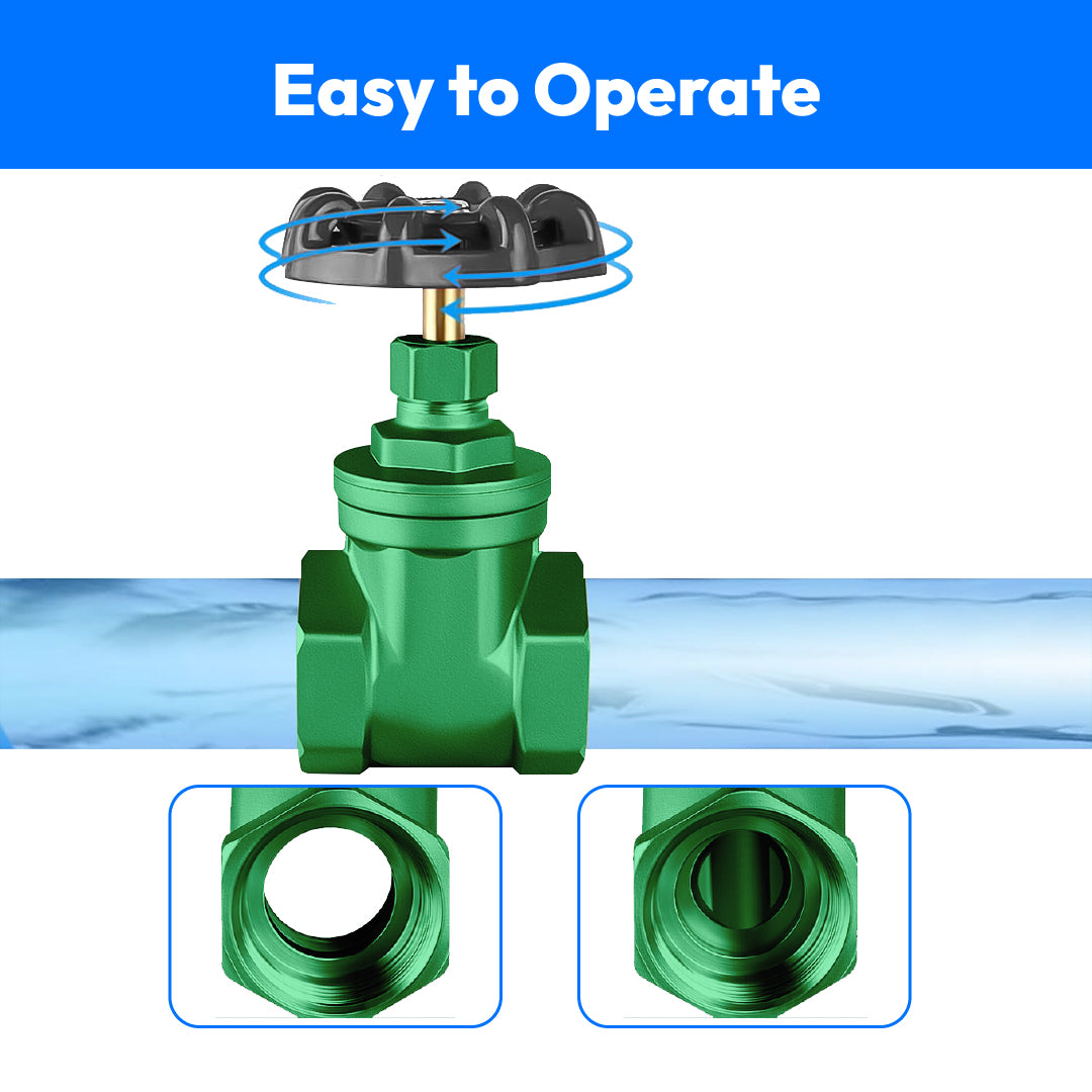 C.I Gate Valve Brass Part-65mm