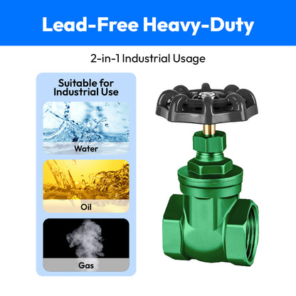 C.I Gate Valve Brass Part-65mm