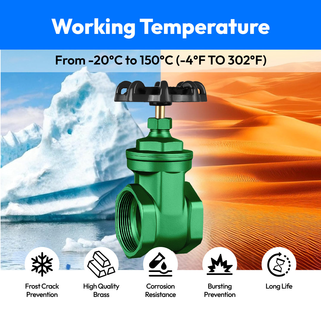 C.I Gate Valve Brass Part-65mm