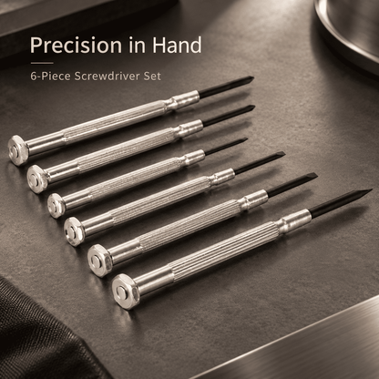 PRECISION SCREWDRIVER SET (6PCS)