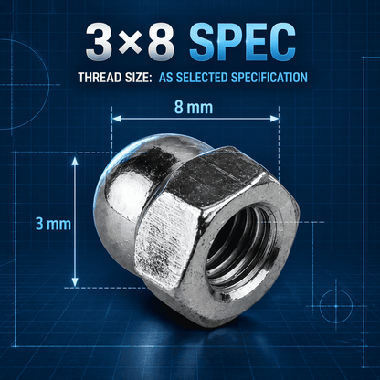 S.S Dome Nut Cap Nut 3x8 (Set of 10pcs)