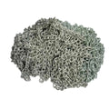 Stainless Steel Chain Zinc Coated - 20Foot