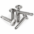 Truss Head Self Drilling Screw-200Pcs