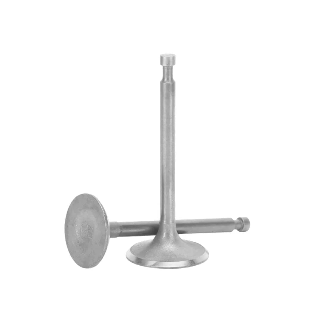 Valve Set for Engine MK25