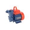 Self Priming Regenerative Pump