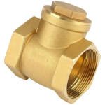 Non Return Horizontal Check Valve Lift Screwed-20MM