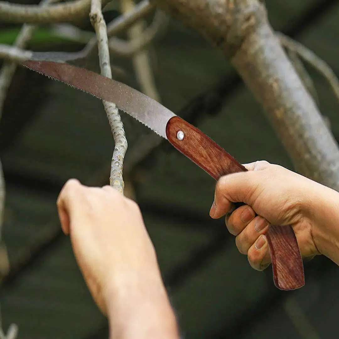 Pruning tool Cutter Wooden & Foldable Handle (Aari) - Image 7