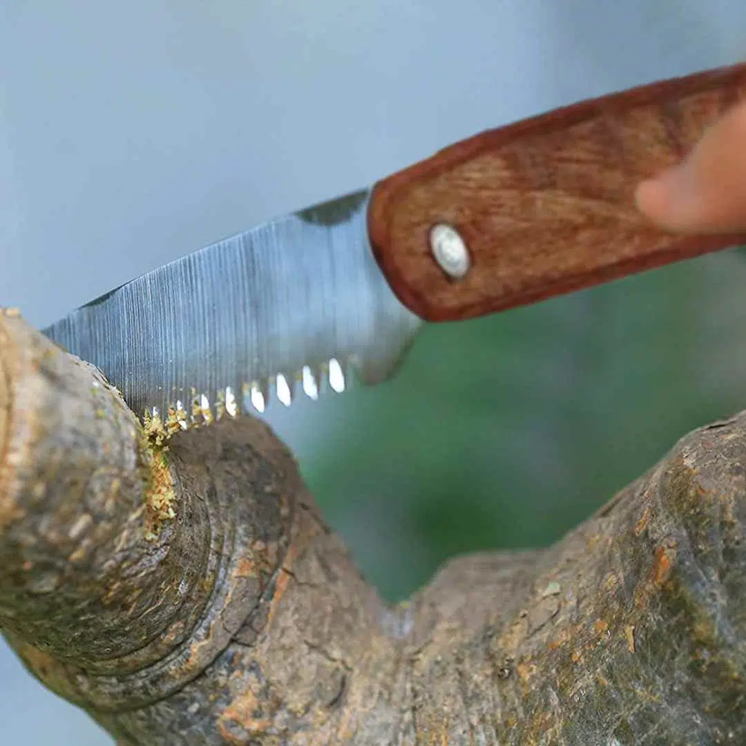 Pruning tool Cutter Wooden & Foldable Handle (Aari) - Image 6