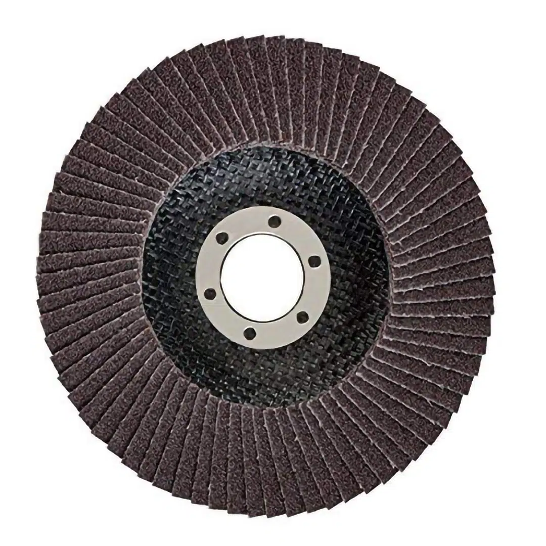 Bosch Flap Disc 5 Inch Dia-60 Grit - Image 5