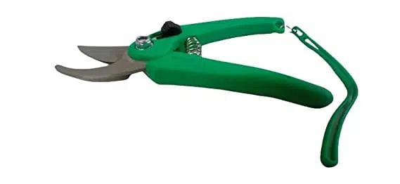 Gardening Pruning Scissors Cutter-185mm - Image 3