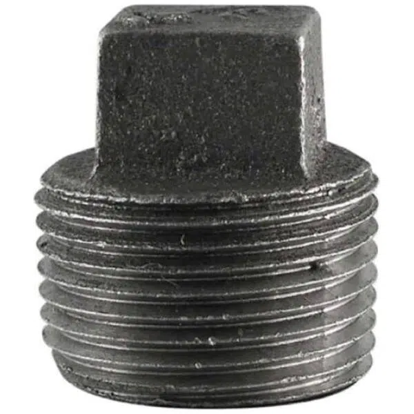 GI Pipe Fitting Plain Plug Square Head-Set of 2