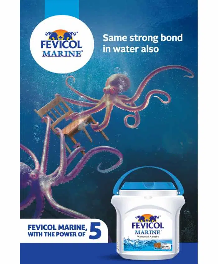 Fevicol Marine Waterproof Adhesive - Image 3