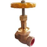 Bronze Union Bonnet Valve -25 MM