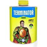 Pidilite Terminator Clear Wood Preservative