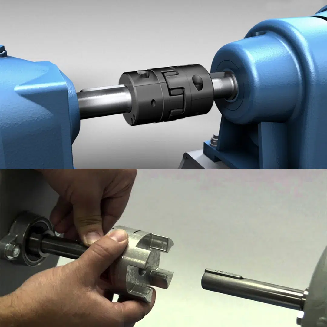 Lovejoy Jaw Coupling with Flexible Rubber - Image 4