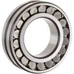 Double Roller Bearing