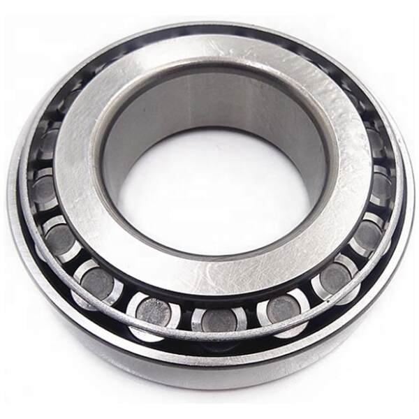 Double Roller Bearing